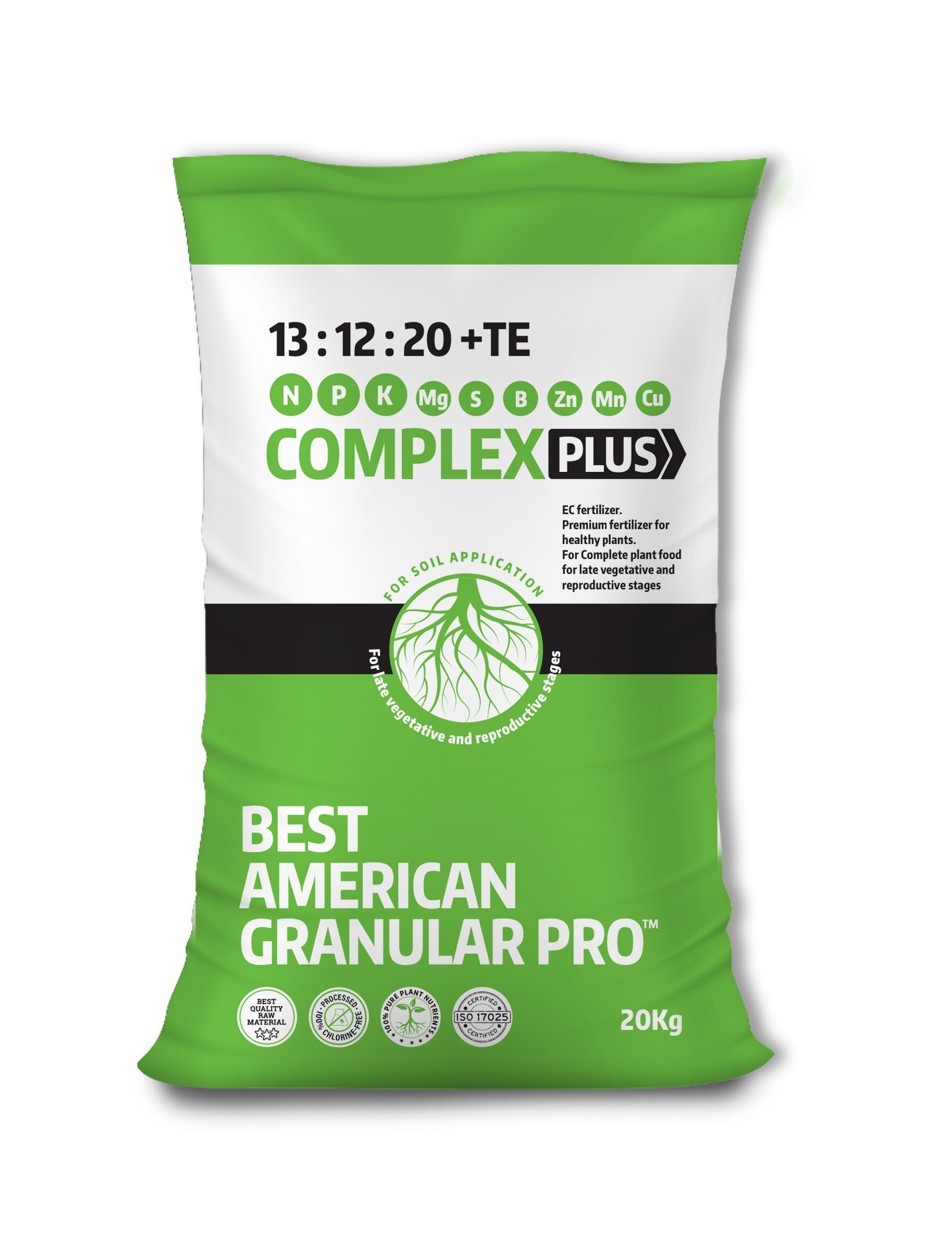 Best American Complex +